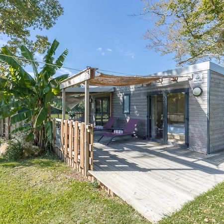 Tiny House Avec Spa, Proche De Bordeaux Et De Saint-Emilion Villa Castelviel Eksteriør billede