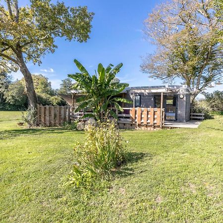 Tiny House Avec Spa, Proche De Bordeaux Et De Saint-Emilion Villa Castelviel Eksteriør billede