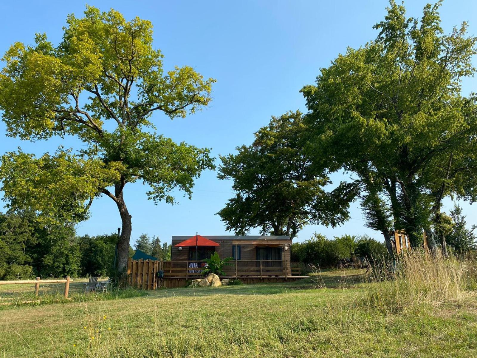 Tiny House Avec Spa, Proche De Bordeaux Et De Saint-Emilion Villa Castelviel Eksteriør billede