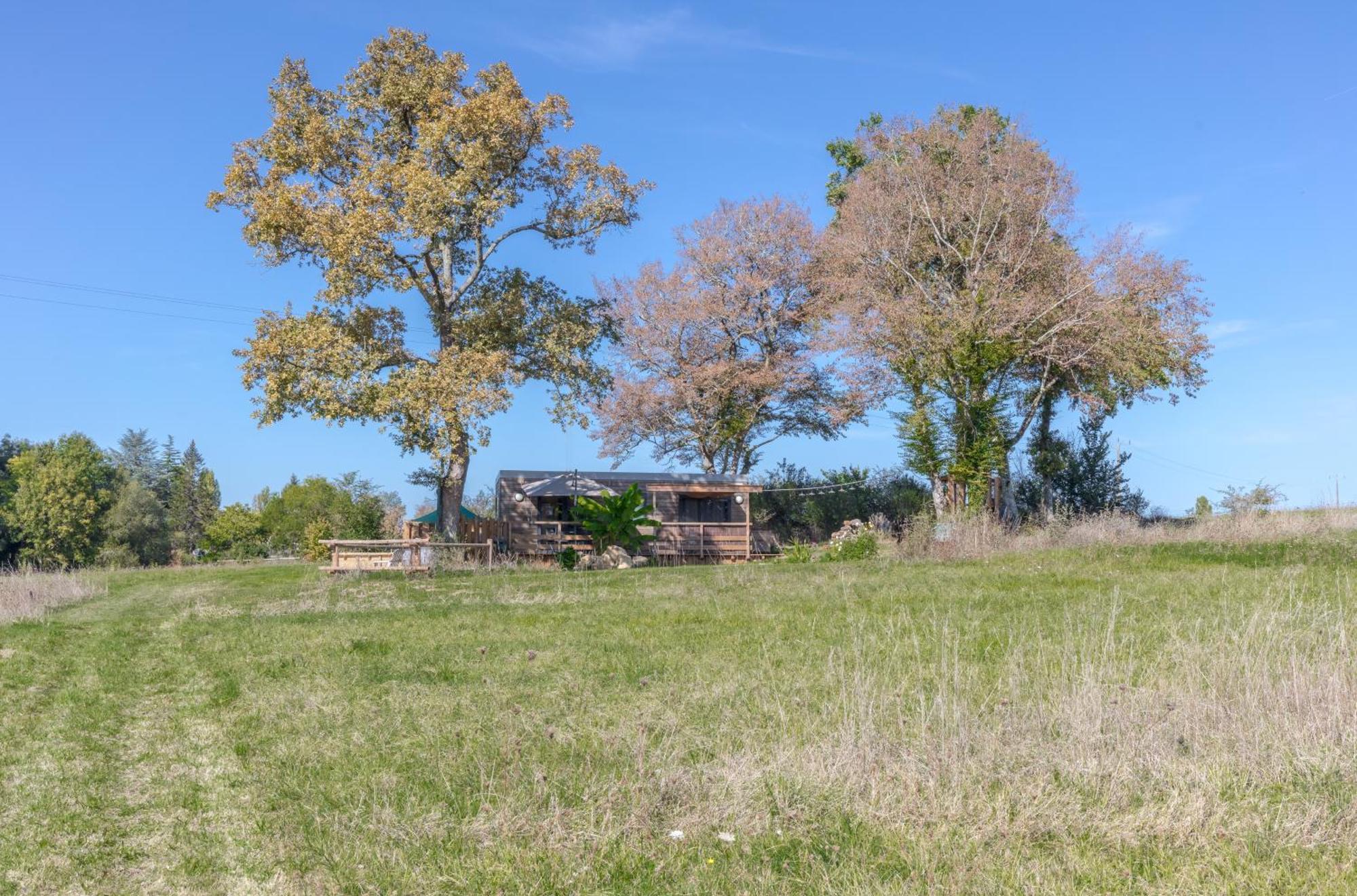 Tiny House Avec Spa, Proche De Bordeaux Et De Saint-Emilion Villa Castelviel Eksteriør billede